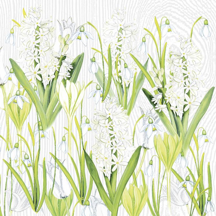 Basicmed Serviette Amelie