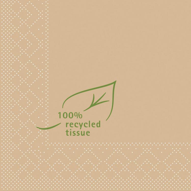 Basicmed Serviette RECYCLED TISSUE