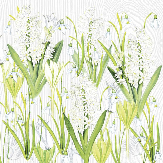 Basicmed Serviette Amelie